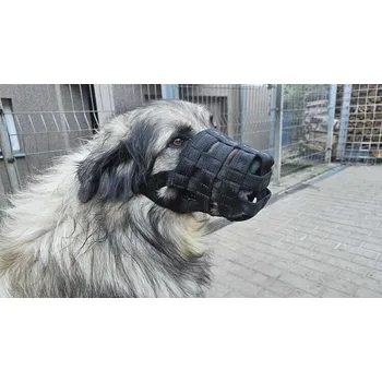 Náhubek popruh podšitý (XL) Zero