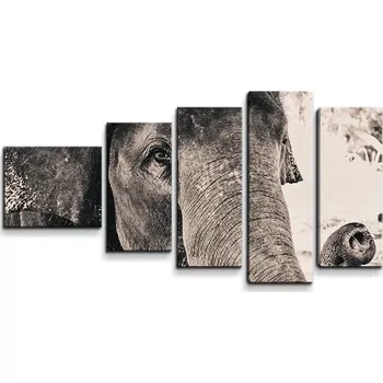 Obraz Sablio Obraz - 5-dílný Slon - 100x60 cm
