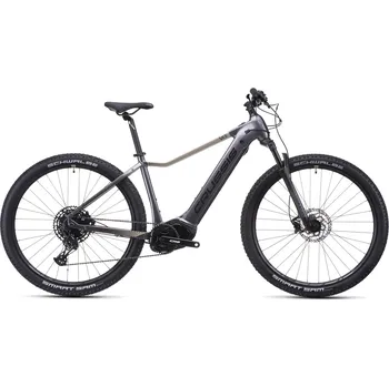 Sport CRUSSIS e-Fionna 9.11-(715 Wh) - Rám 20"