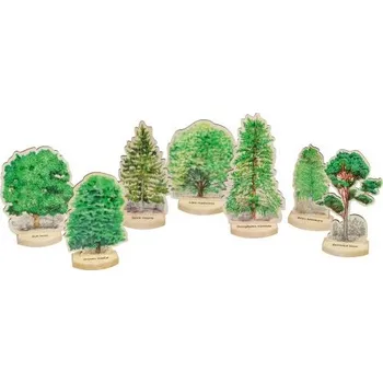 Výuková hračka Lesní svět Spoznávaj stromy SK