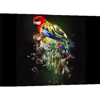 Obraz Sablio Obraz Barevný papoušek - 60x40 cm