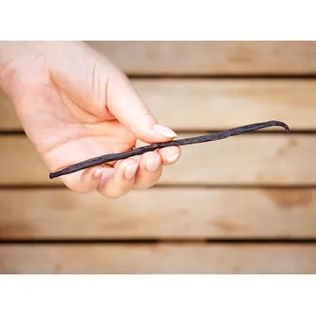 Koření Vanilkový lusk KLASIK