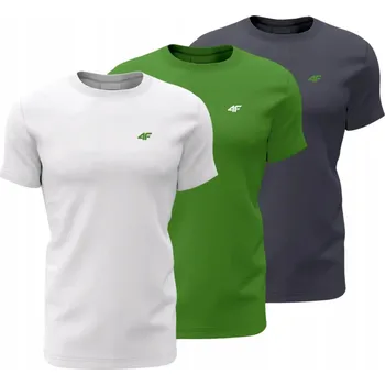 Pánské tričko s kulatý výstřihem 4F, velikost 5XL