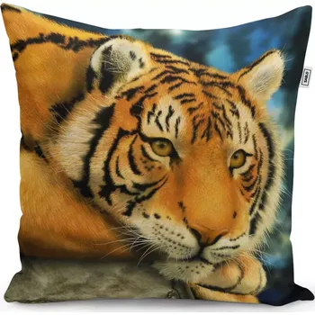 Polštář Sablio Polštář Tygr - 50x50 cm