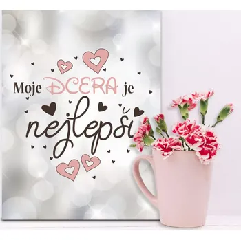 Plechová cedule Sablio Dárková cedulka Moje dcera je nejlepší: 30x40 cm