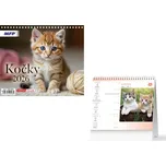 MFP Stolní mini kalendář Kočky 2026