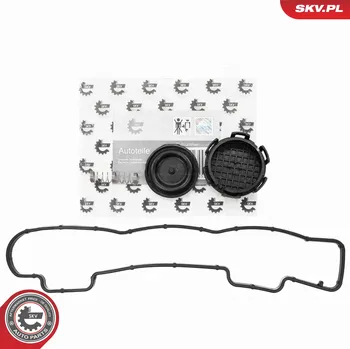 Těsnění motoru Sada těsnění, kryt hlavy válce ESEN SKV 96SKV283