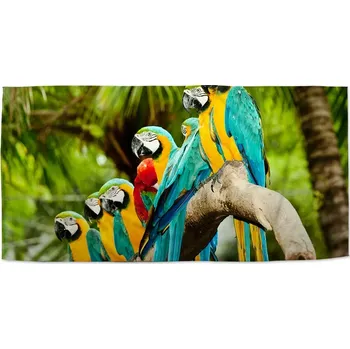 Osuška Sablio Ručník Papoušci na větvi - 50x100 cm