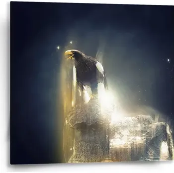 Obraz Sablio Obraz Orel - 50x50 cm