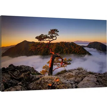 Obraz Obraz do ložnice les mlhou Sokolica hory 100x70