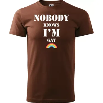 Pánské tričko Sablio Tričko s potiskem Nobody knows I am gay - hnědé S