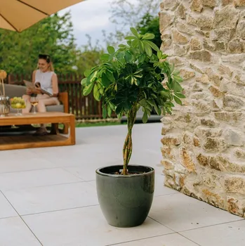 Květináč Keramický Květináč , zelená Provencelia 29 cm x 26 x 29 cm