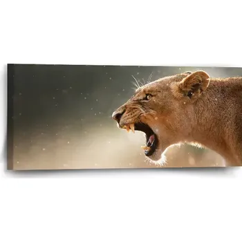 Obraz Sablio Obraz Rozzuřená lvice - 110x50 cm