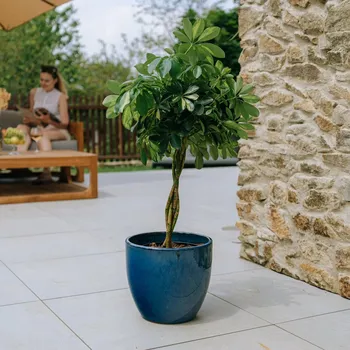 Květináč Keramický Květináč Provencelia modrý 21 cm x 19 x 21 cm