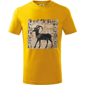 Chlapecké tričko Egyptské hieroglyfy koza - Tričko dětské bavlněné - 146 cm/10 let ( Žlutá )