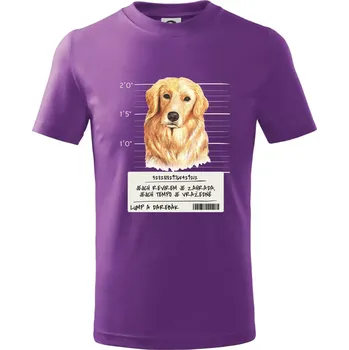 Lump a darebák zlatý retrívr - Tričko dětské bavlněné - 146 cm/10 let ( Fialová )