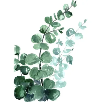 Plakát Plakát, Obraz - Watercolor eucalyptus bouquet, Blursbyai