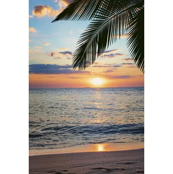 Plakát Plakát, Obraz - Beach Sunset