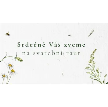 Pozvánka Pozvánka na raut 352