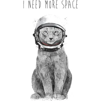 Plakát Plakát, Obraz - I need more space