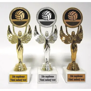 Volejbalové trofeje F32-830-LAC023
