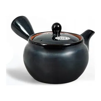 Konvice na čaj Ervaar Japan Japonská keramická konvice Kyusu černá 360ml