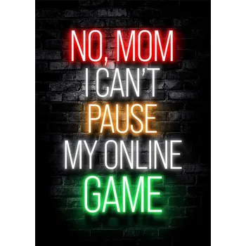 Plakát Plakát, Obraz - No, Mom, I Can't Pause My Online Game
