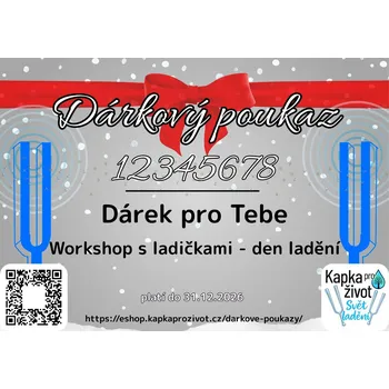 Dárkový potravinový koš Dárkový poukaz - účast na Workshop - Zvukem k sobě - den s ladičkami