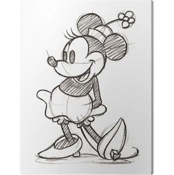 Obraz Obraz na plátně Minnie - Single