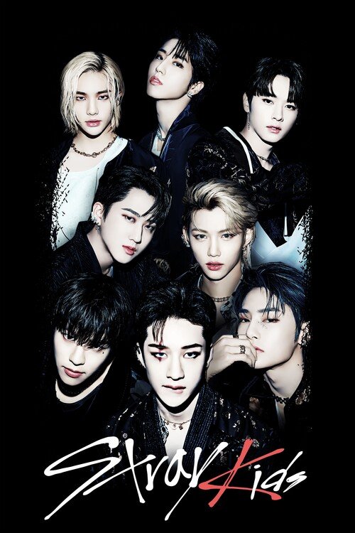 Plakát, Obraz - Stray Kids - SKZ Members