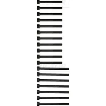 Spojovací materiál motoru Sada šroubů hlavy válce VICTOR REINZ 14-55100-01