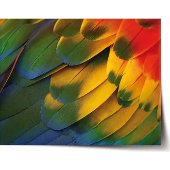 Plakát Sablio Plakát Barevné peří - 90x60 cm