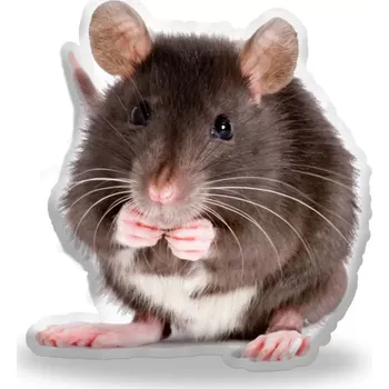 Polštář Sablio 3D polštář ve tvaru Myš