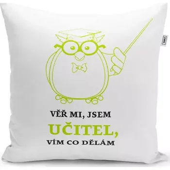 Polštář Sablio Polštář Věř mi, jsem učitel vím co dělám: 40x40 cm