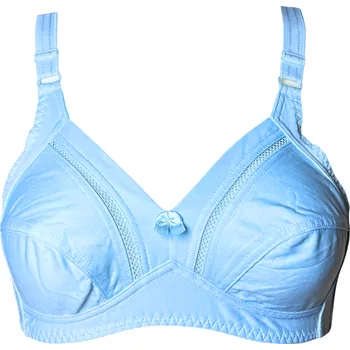 Podprsenka Dámská podprsenka modrá 2001 Velikost: 100B