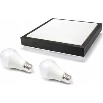 NÁSTĚNNÝ STROPNÍ SVÍTIDLO 2XE27 + 2X LED ŽÁROVKA 12W 4500K