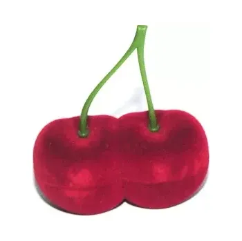 Dárková krabička Dárková krabička třešně (Dárková sametová krabička )