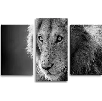 Obraz Sablio Obraz - 3-dílný Lvíček - 75x50 cm