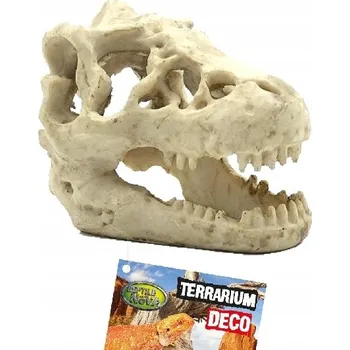 Obraz Lebka Dinosauři Dekorace do terária 16x11x9 cm