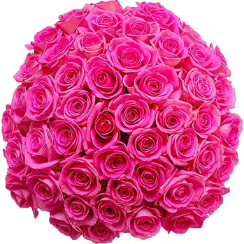 umělá květina Rozvoz květin - 50 růžových růží 40cm