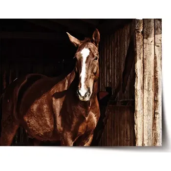 Plakát Sablio Plakát Kůň ve stáji - 60x40 cm