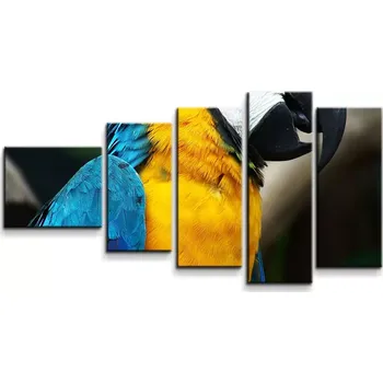 Obraz Sablio Obraz - 5-dílný Ara - 100x60 cm