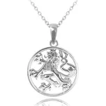 Stříbrný náhrdelník s Českým lvem JMAN0036LN50