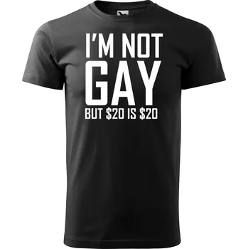 Pánské tričko Sablio Tričko s potiskem I am not gay, but... - černé S