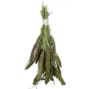 Krmivo pro hlodavce JR Farm Zelené senegalské proso 50 g