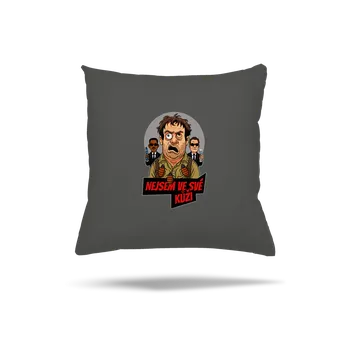 Polštář Bastard Nejsem ve své kůži polštář Gray Pol