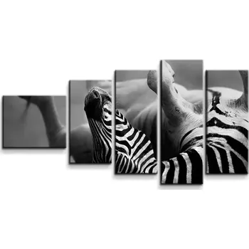 Obraz Sablio Obraz - 5-dílný Válející se zebra - 100x60 cm