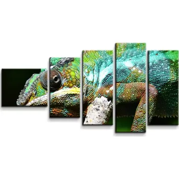 Obraz Sablio Obraz - 5-dílný Chameleon - 100x60 cm