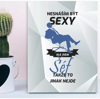 Plechová cedule Sablio Dárková cedulka Nesnáším být sexy, ale jsem šéf: 30x40 cm