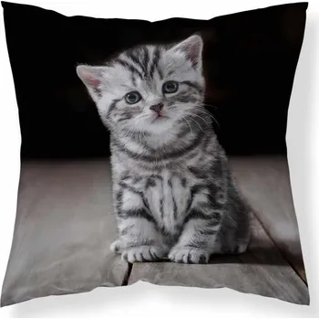 Dekorativní polštářek Polštář Koťátko - 40x40